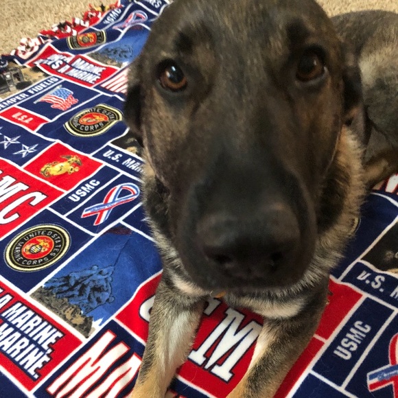 Meet your Posher, Chad - Picture 2 of 2